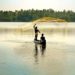 Experts unveil steps to raise fish output, provide food security